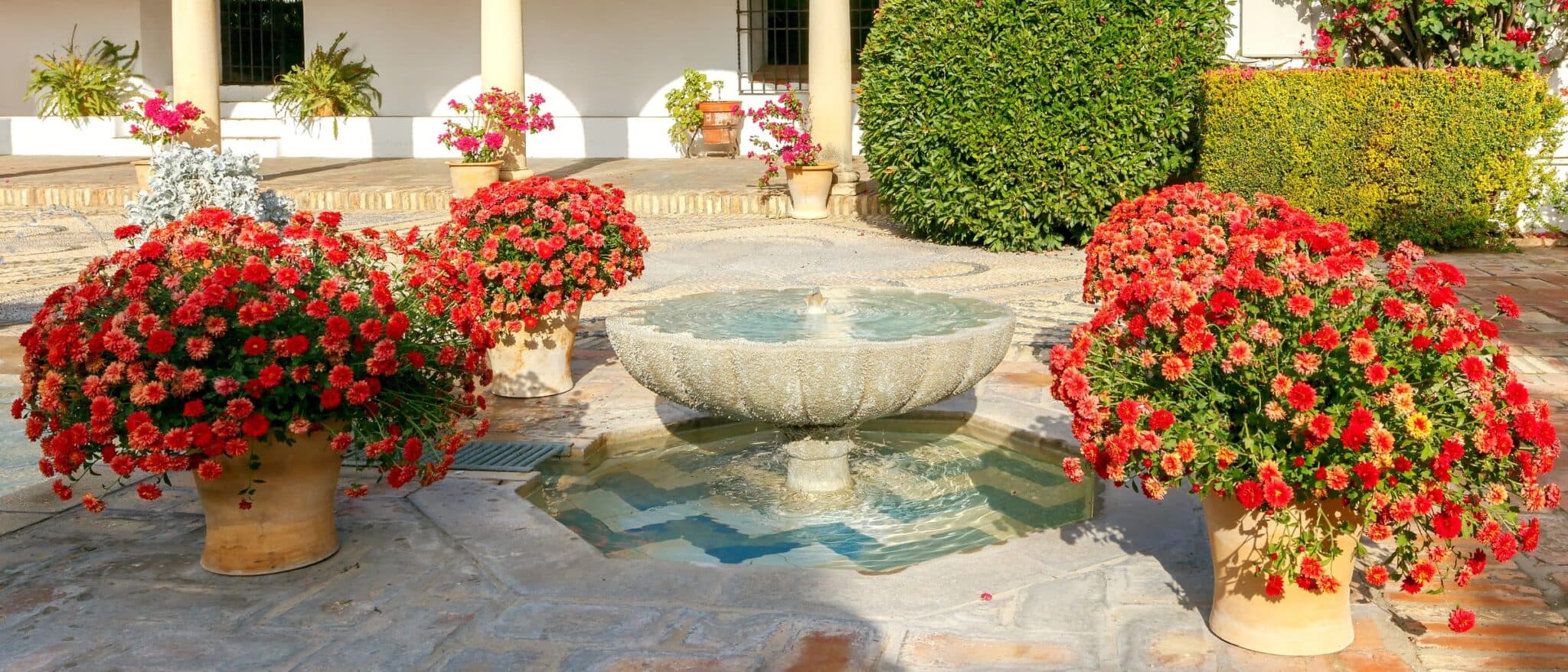 A traditional Córdoba patio with geraniums around a stone fountain