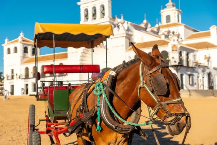 Horses and carriages in the Rocio sanctuary at the Rocio festival in summer, Huelva. Andalusia