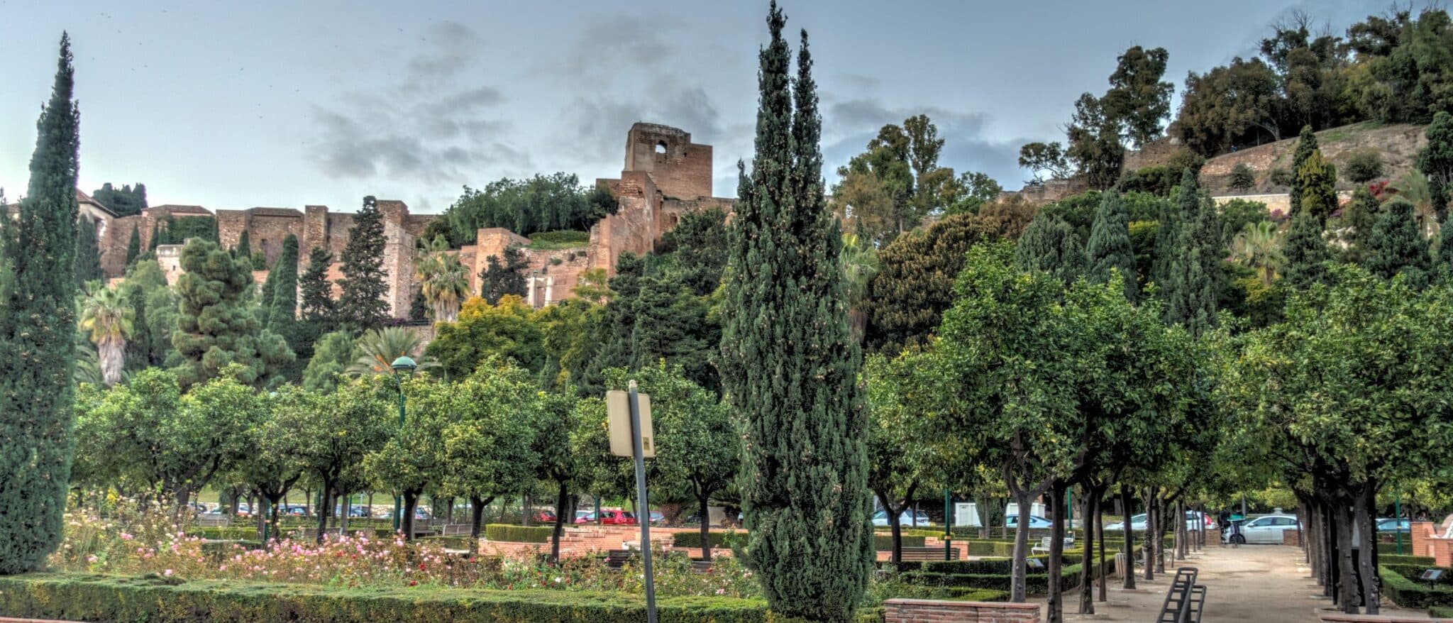 The walls and towers of the Alcazaba of Málaga rising above cypresses and orange trees in the gardens below
