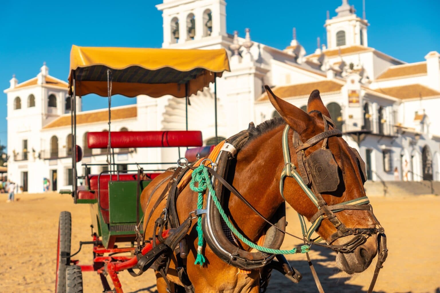 Horses and carriages in the Rocio sanctuary at the Rocio festival in summer, Huelva. Andalusia