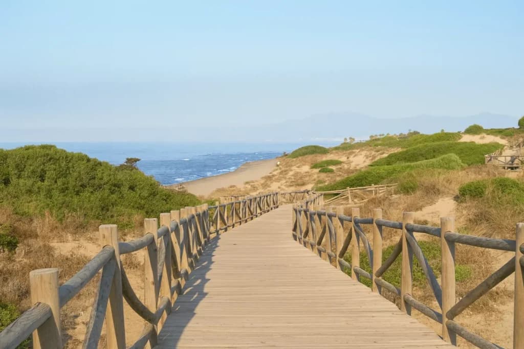Dunas de Artola