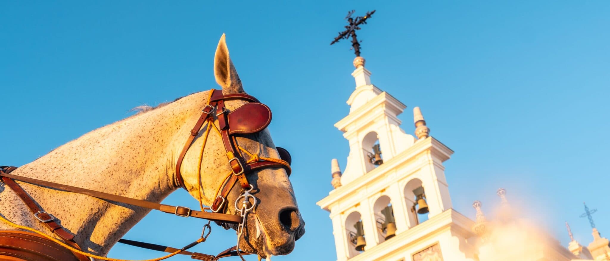 A horse before the white sanctuary at the El Rocío pilgrimage, Huelva